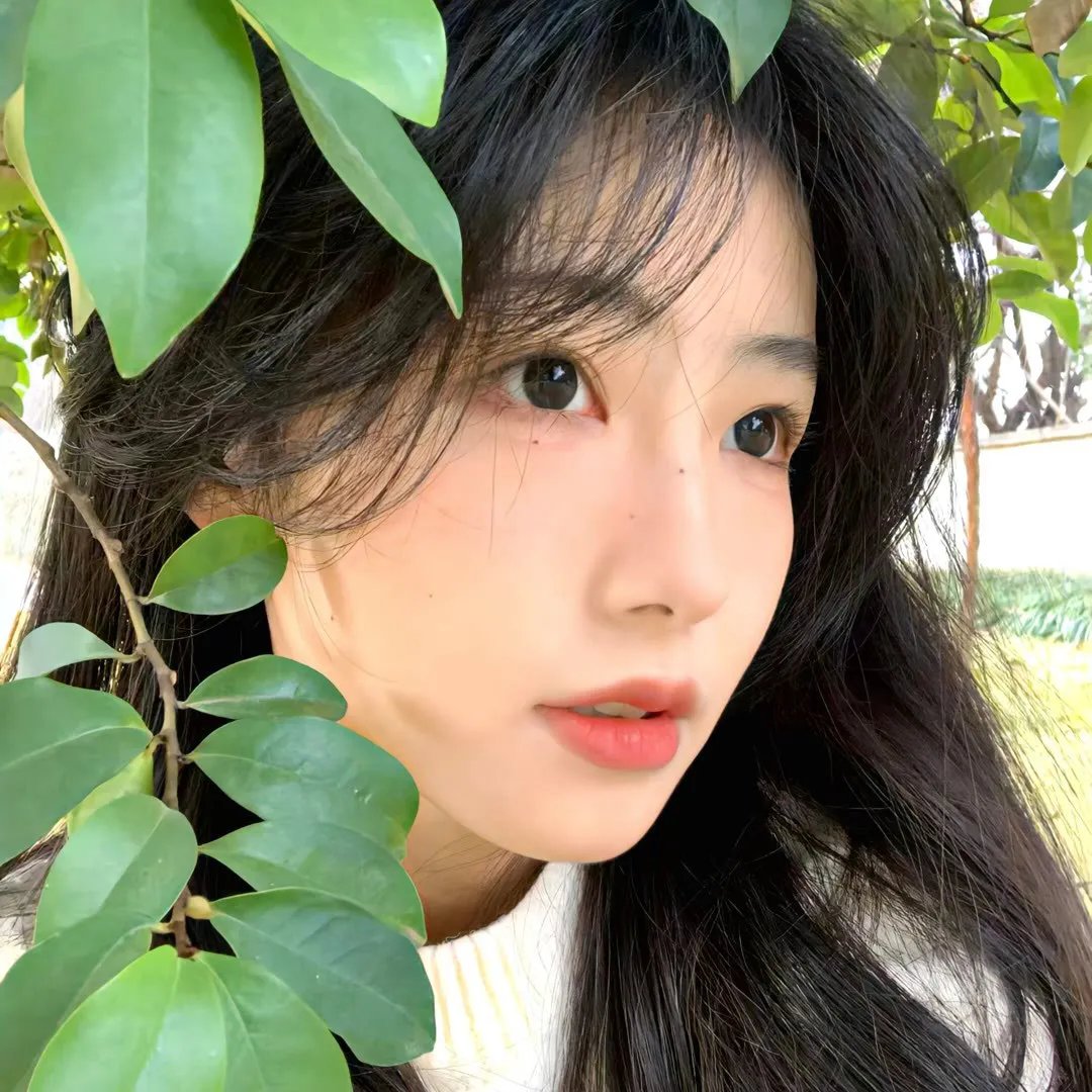热带惊雷
